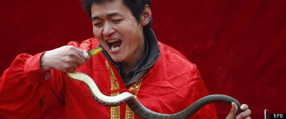 Serpiente Nariz