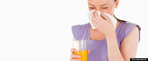 Flu Foods