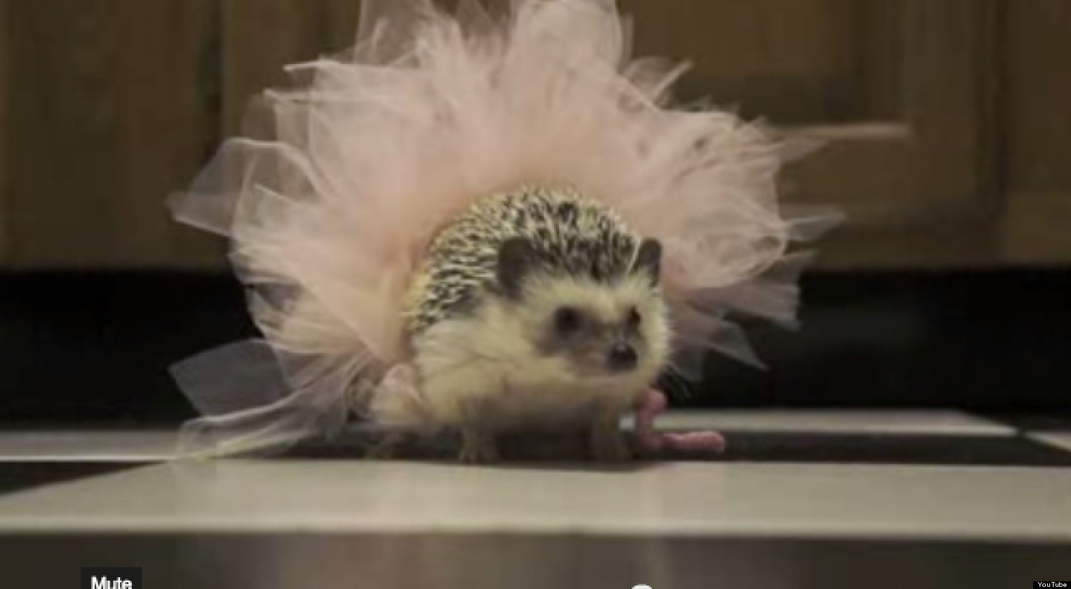Hedgehog Baby Clothes