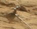 Martian 'Robot Arm' Mystery