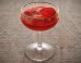 cocktail-recipes
