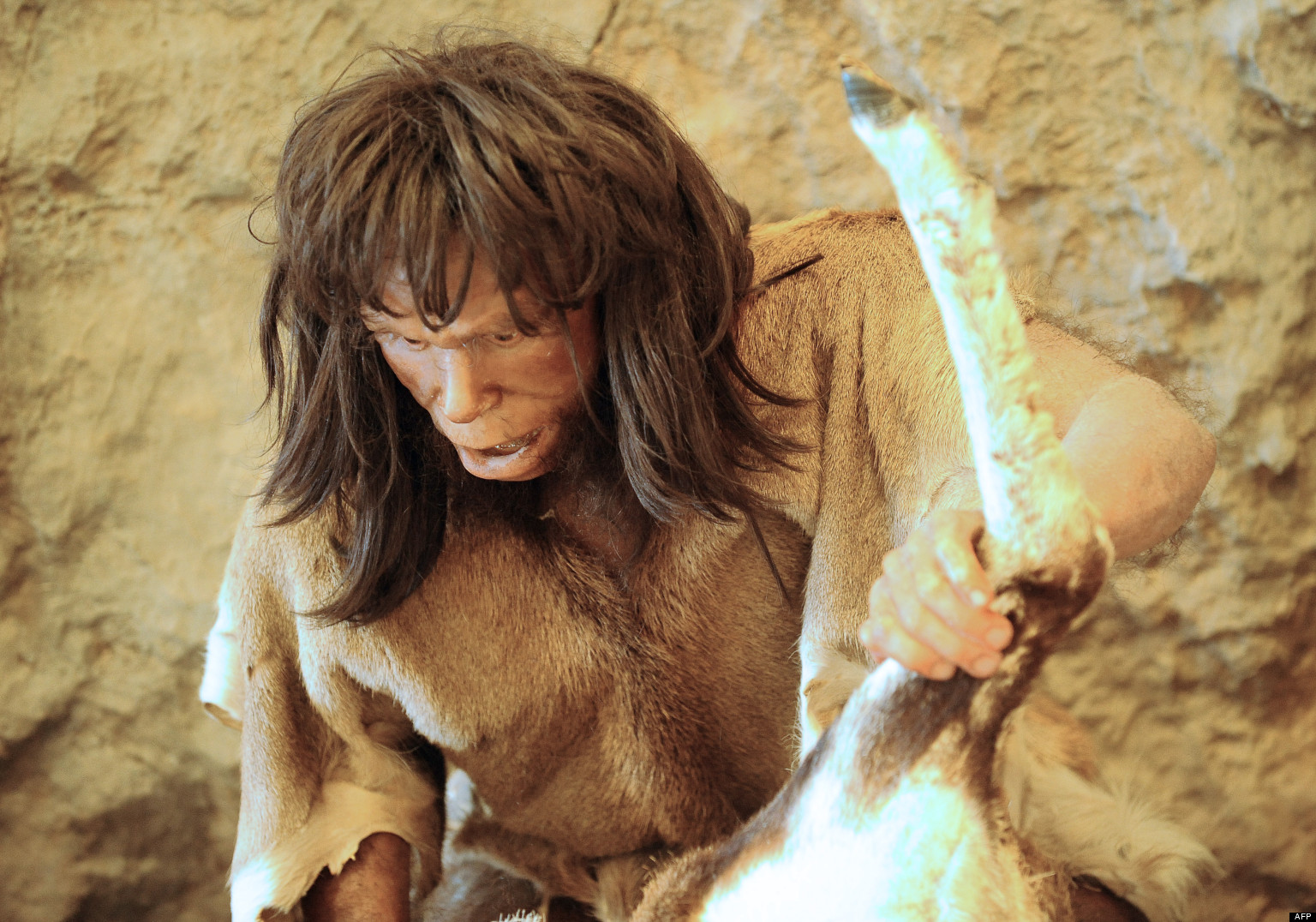 Recherche des hommes prehistorique