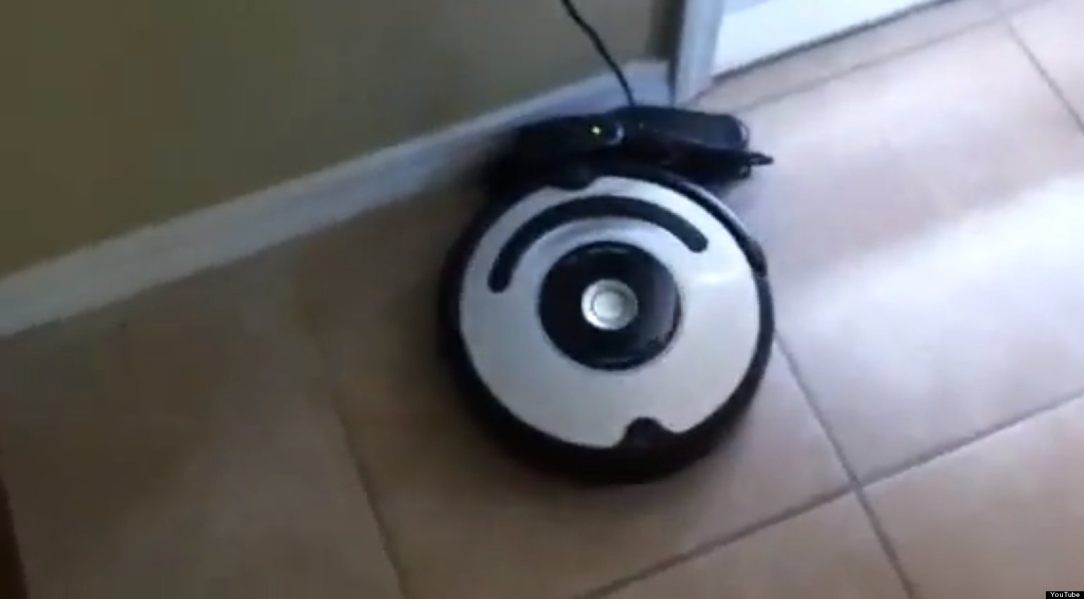 Why You Shouldn't Get A Dog AND A Roomba (VIDEO) HuffPost UK