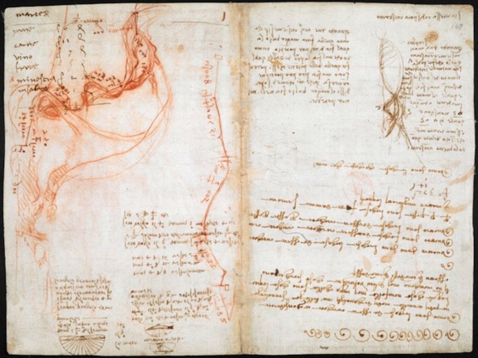 Da Vinci Notebook: British Library Publishes Full Collection And More ...