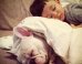 LOOK: Little Boy And His Bulldog Are The Only Valentines You Need