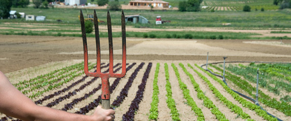 Farm