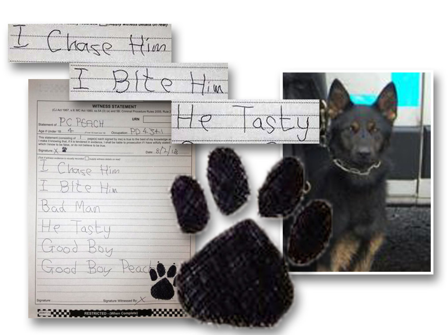 West Midlands Police Under Investigation After Witness Statement By