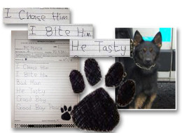 'I Chase Him. I Bite Him. Bad Man. He Tasty': Dog's Witness Statement Lands Police In Hot Water 