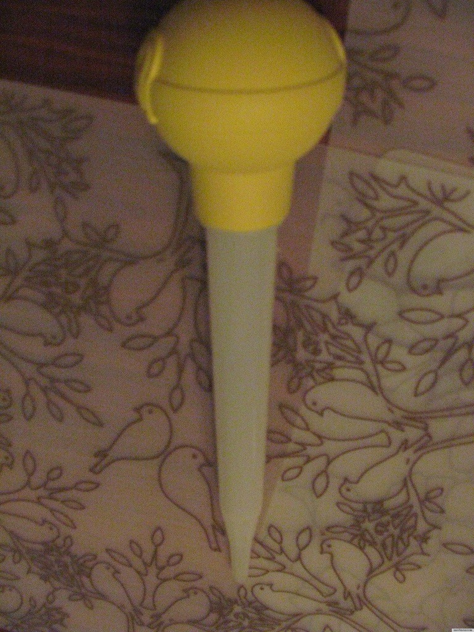 The Easiest Way To Water Plants Is...Using A Turkey Baster? HuffPost