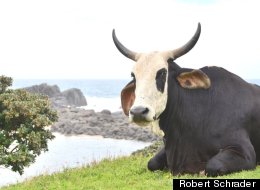 PHOTOS: South Africa's Wild Coast