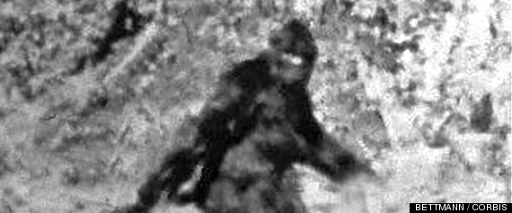 Bigfoot Dna Under The Microscope Controversy Brews Over Denovo Science Journal 