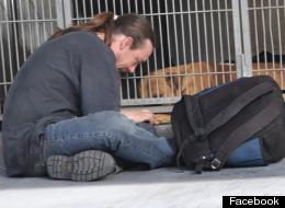Dog Owner 'Threatens To Sue Photographer Who Engineered Reunion With Beloved Pet' 