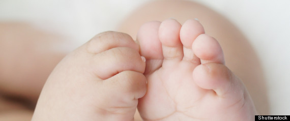 Newborn
