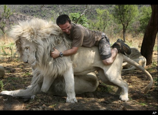 Incredible Photographs! Kevin Richardson Canoodling with His White Lion  Pride | Pan Macmillan