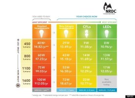 Energy Efficient Light Bulb Tips (PHOTOS)