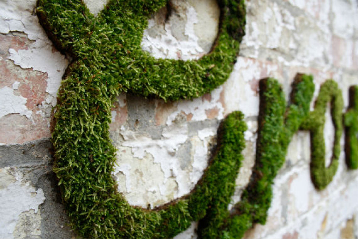 Moss Graffiti Makes Eco-Friendly Street Art (PHOTOS) | HuffPost