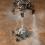 Curiosity Touching Down