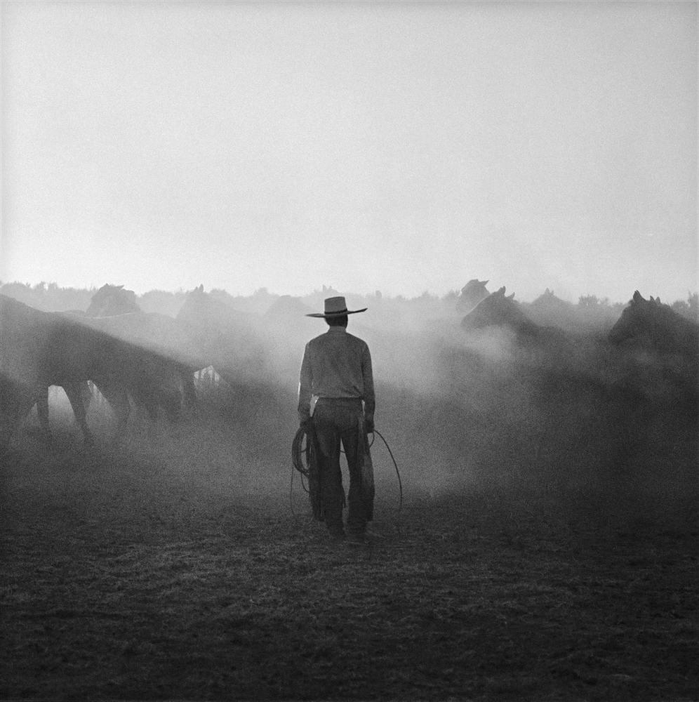 Adam Jahiel's 'The Last Cowboy' Captures The American Cowboys Of The ...