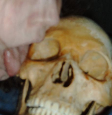 slide_265055_1790608_free.jpg