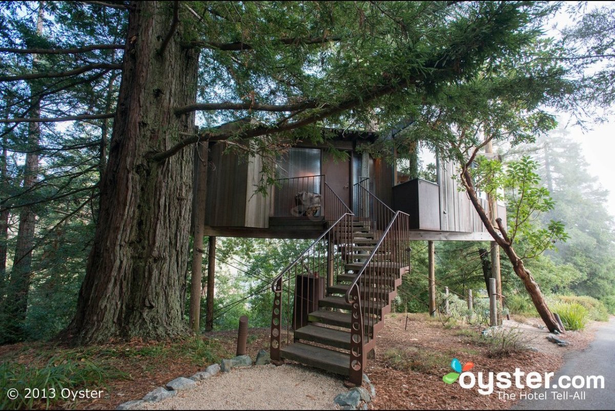 High Living: 9 Beautiful Tree House Hotels | HuffPost