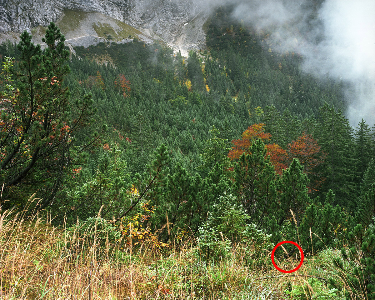 Can You Spot The Sniper Hiding In These Pictures? | HuffPost UK