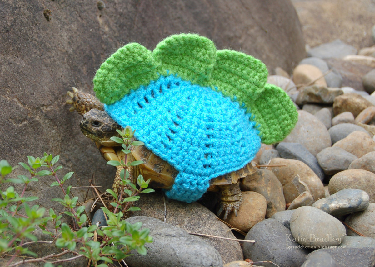 Snail And Tortoise Sweaters Really Do Exist, And They're Surprisingly ...