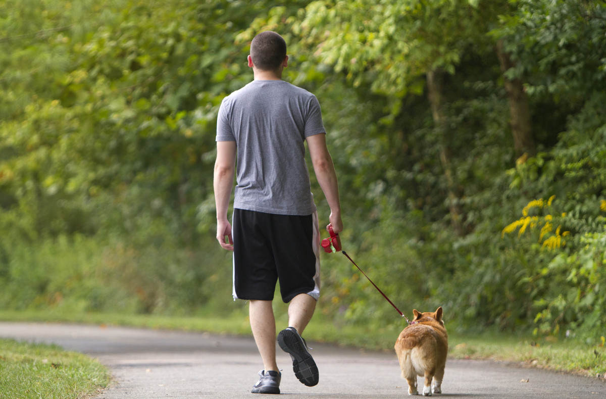 9 Ways To Walk More On National Walking Day | HuffPost