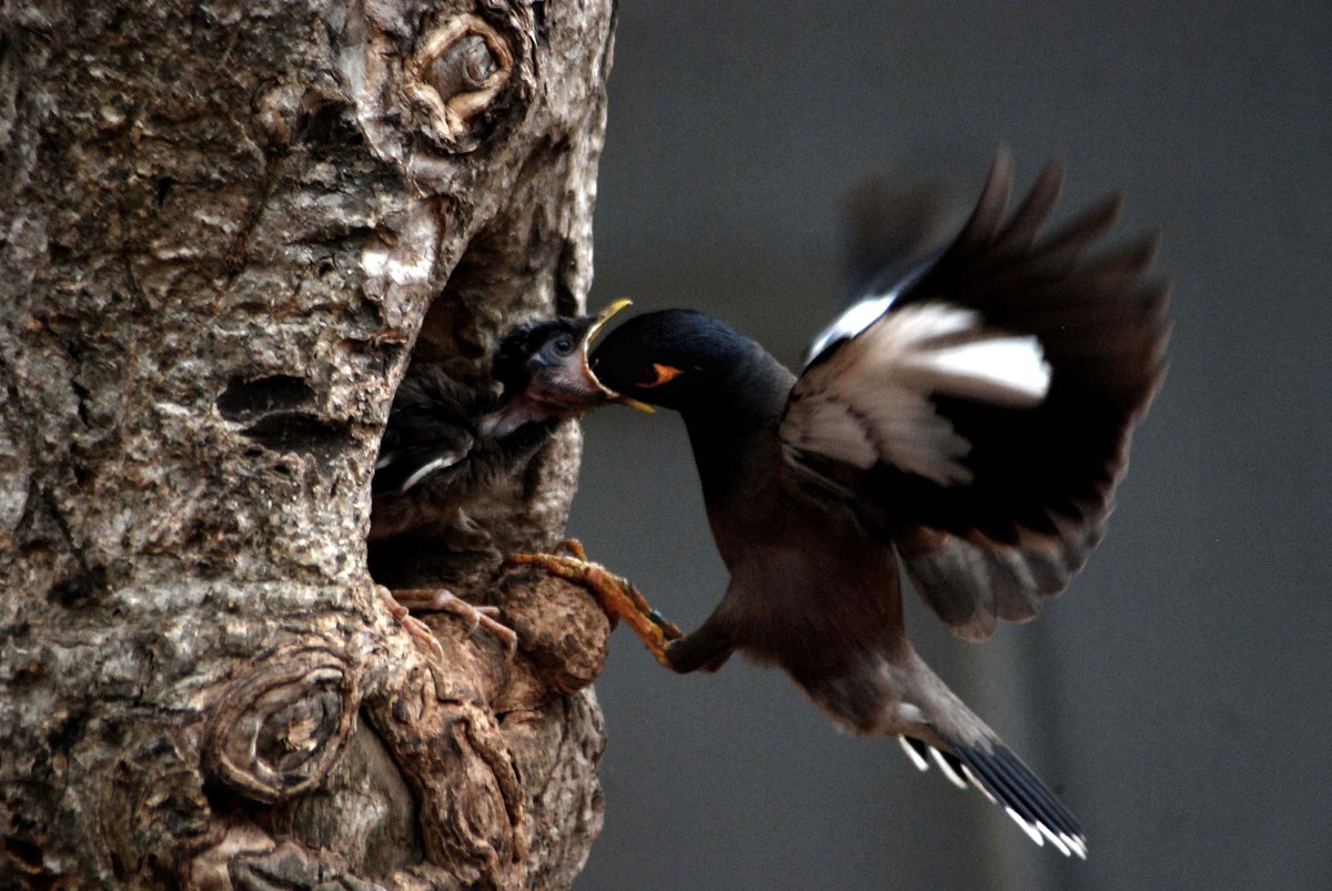 Animal Photos Of The Week: Time To Warm Up For Spring | HuffPost