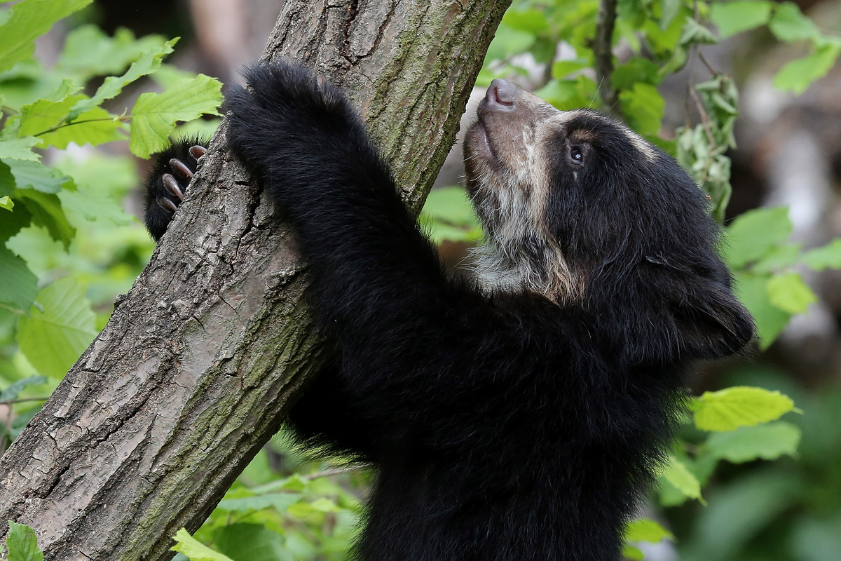 Animal Photos Of The Week: Happy Mother's Day | HuffPost