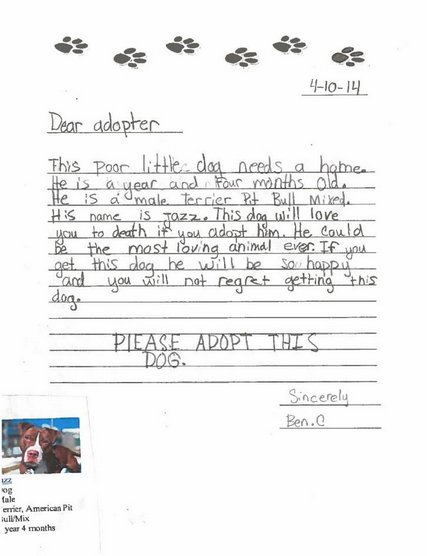 These Elementary School Students Will Totally Persuade You To Adopt A ...