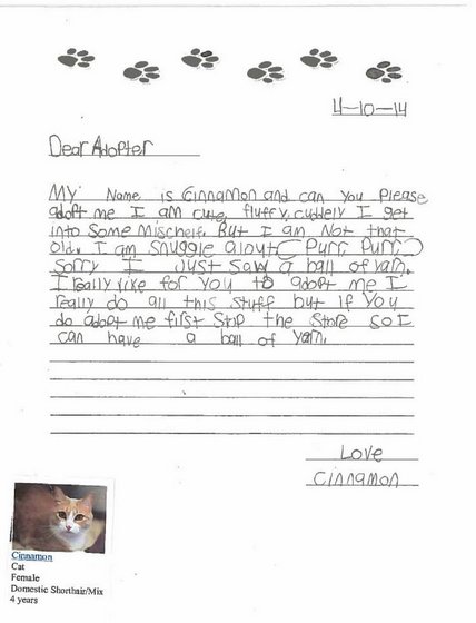 These Elementary School Students Will Totally Persuade You To Adopt A ...