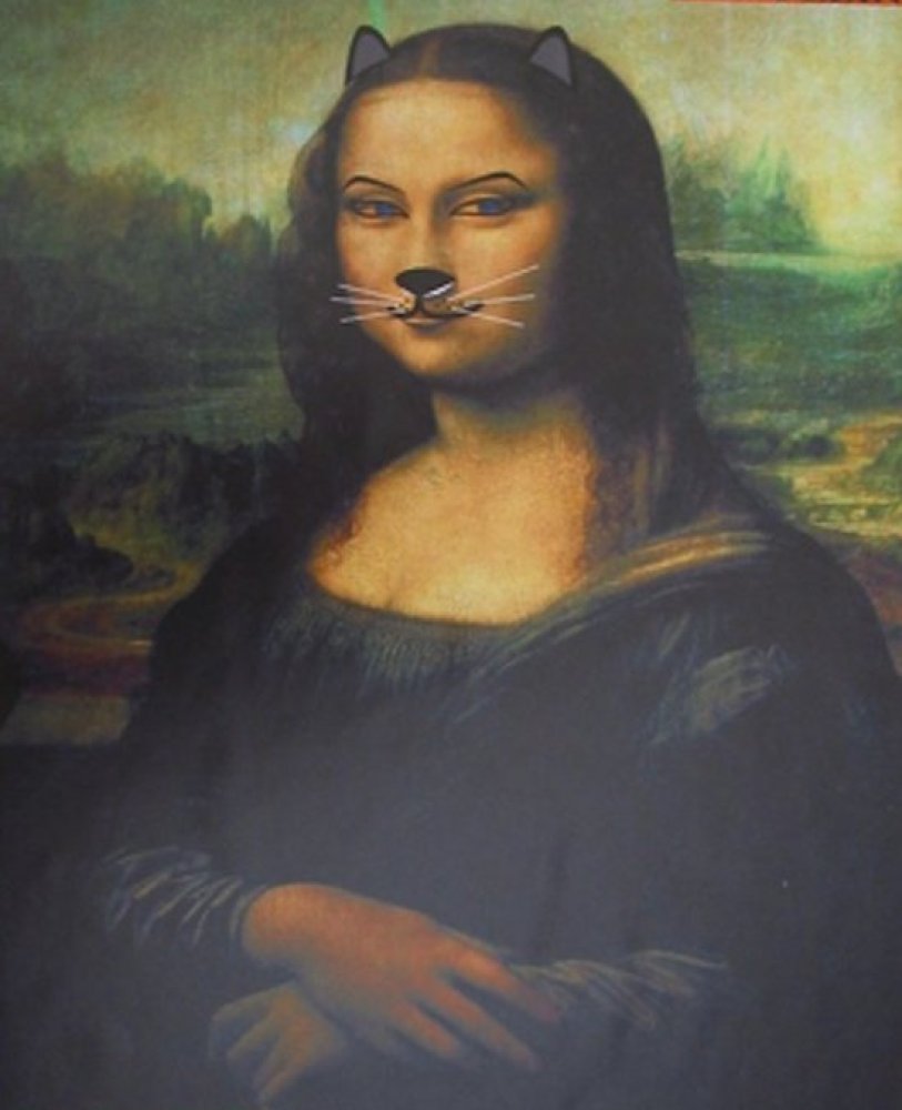 Who painted the mona lisa. Мона Лиза Джоконда с котом. Леонардо да Винчи Мона Лиза приколы. Картина Давинчи Мона Лиза с котом. Улыбка Мона Лиза картина Автор.