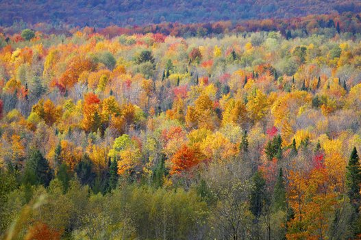 Fall Photos In Canada Remind You Why It's The Greatest Season