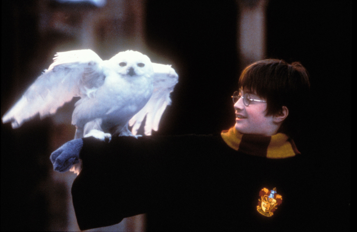 How The First 'Harry Potter' Movie Came Together | HuffPost