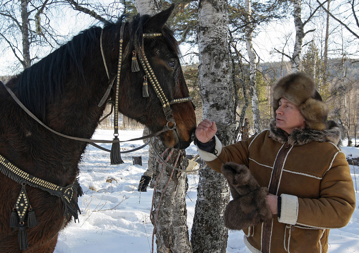 Путин на лошадях в Хакасии