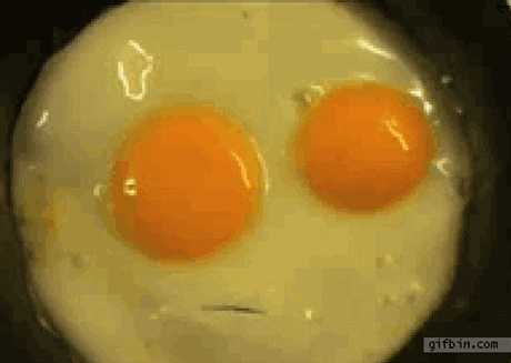 slide_395860_4856972_compressed.gif
