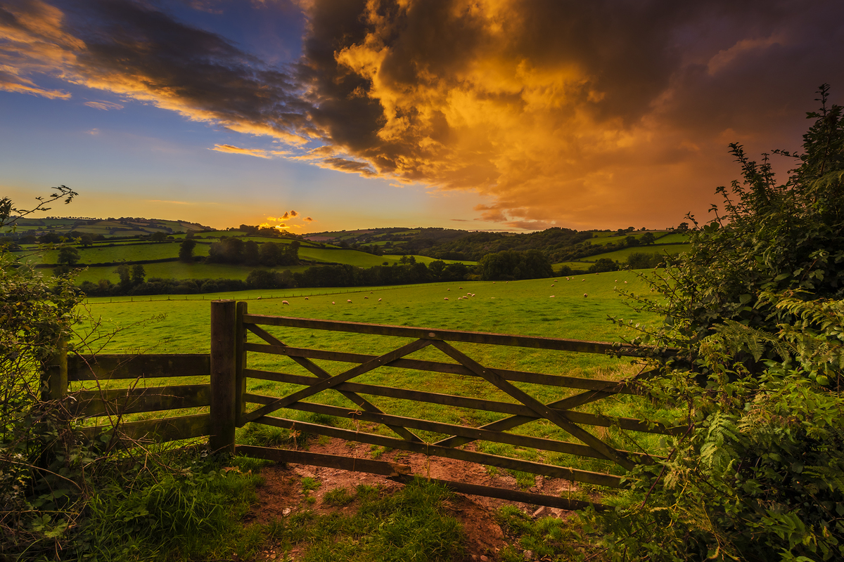 Autumnal Equinox : 26 Spectacular Images To Mark Britain's Seasonal ...