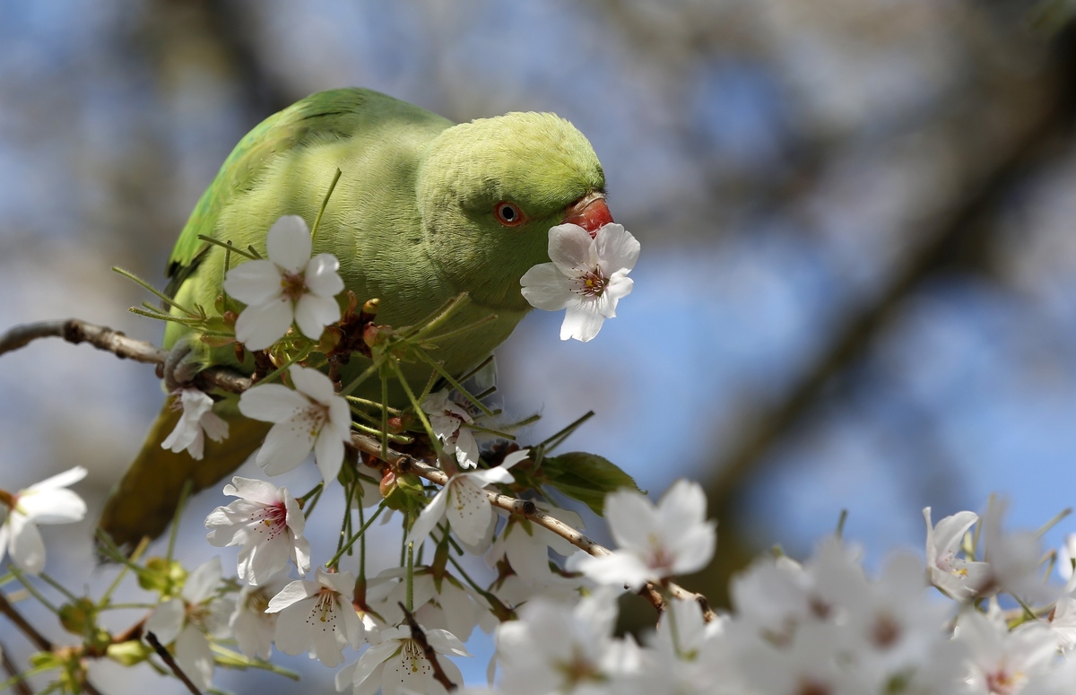 24 Animals Enjoying Spring Weather.. Just Like Us
