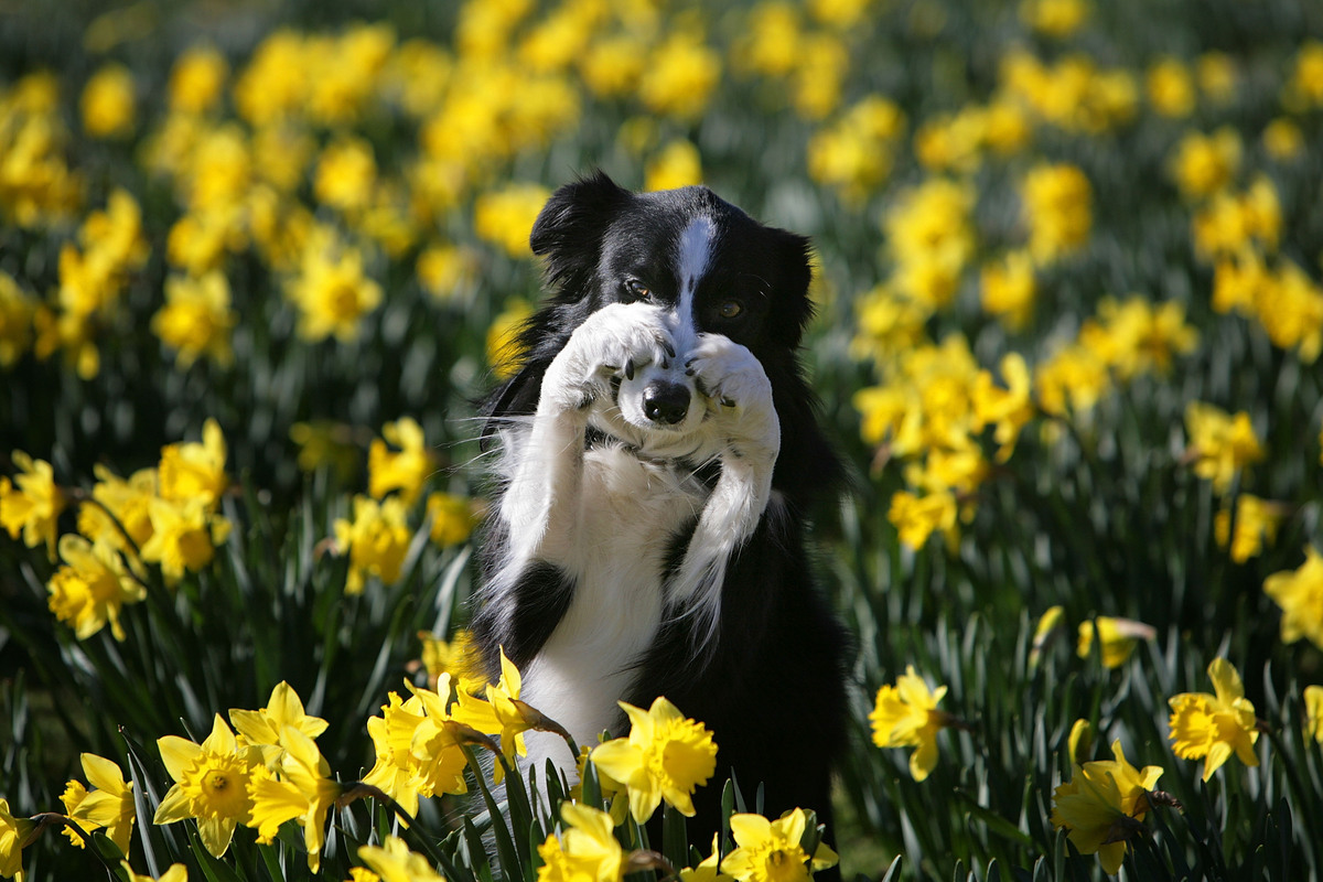 24 Animals Enjoying Spring Weather.. Just Like Us