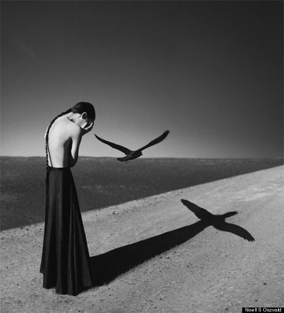 prejudice noell s oszvald