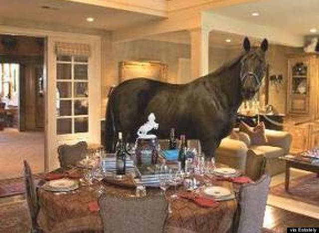 Horses In Living Room During Irma