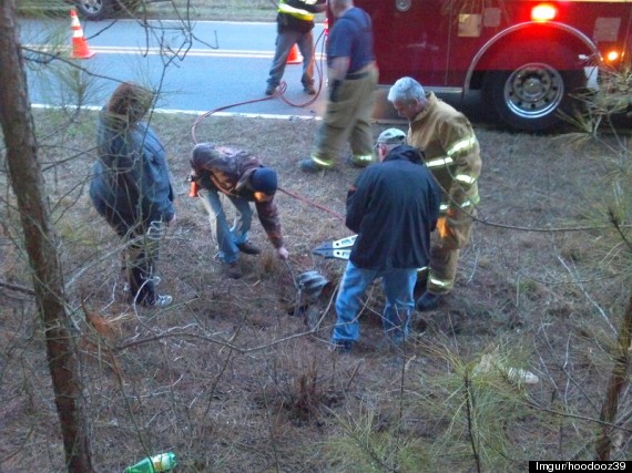 bojangles rescues katie 3