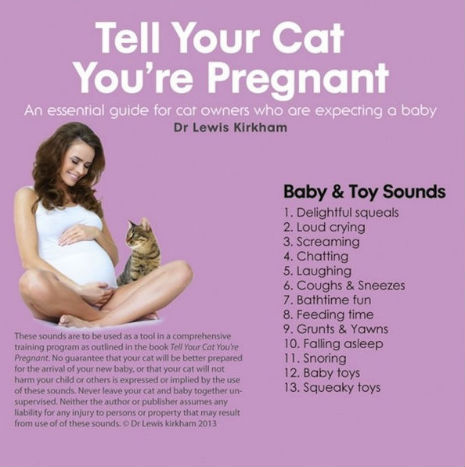 'Tell Your Cat You're Pregnant' By Dr. Lewis Kirkham Is A ...