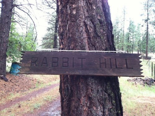 rabbit hill