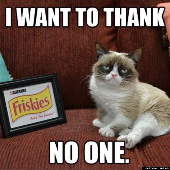 grumpy cat friskies