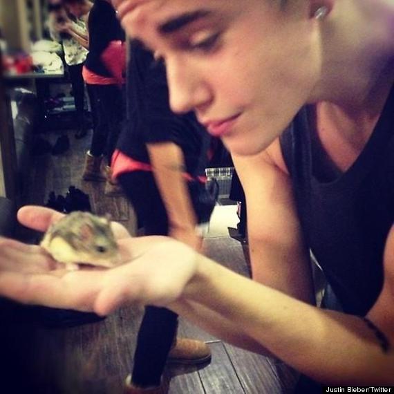 justin bieber hamster dead