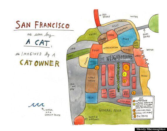 lost cat book san francisco