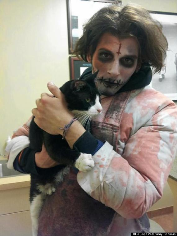 zombie saves cat