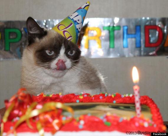tard grumpy cat birthday