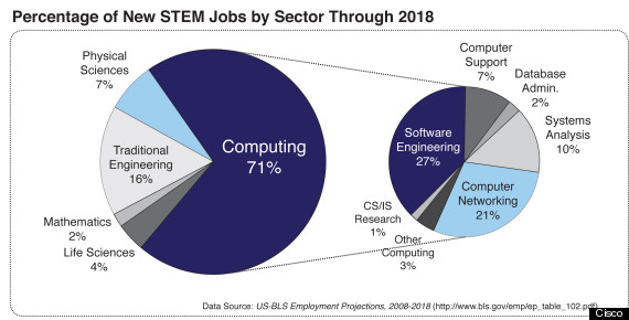 pie chart for stem blog